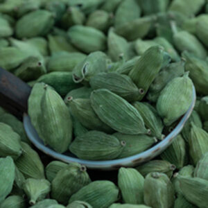 Green Cardamom